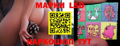 стафф Кингисепп