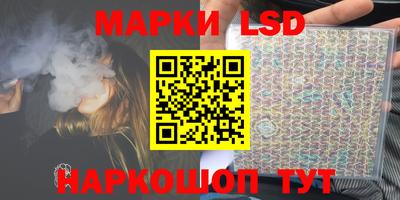 стафф Кингисепп