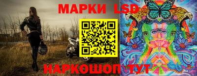стафф Кингисепп