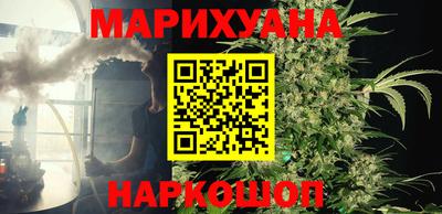 стафф Кингисепп