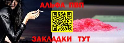 стафф Кингисепп