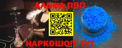 стафф Кингисепп