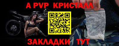 стафф Кингисепп