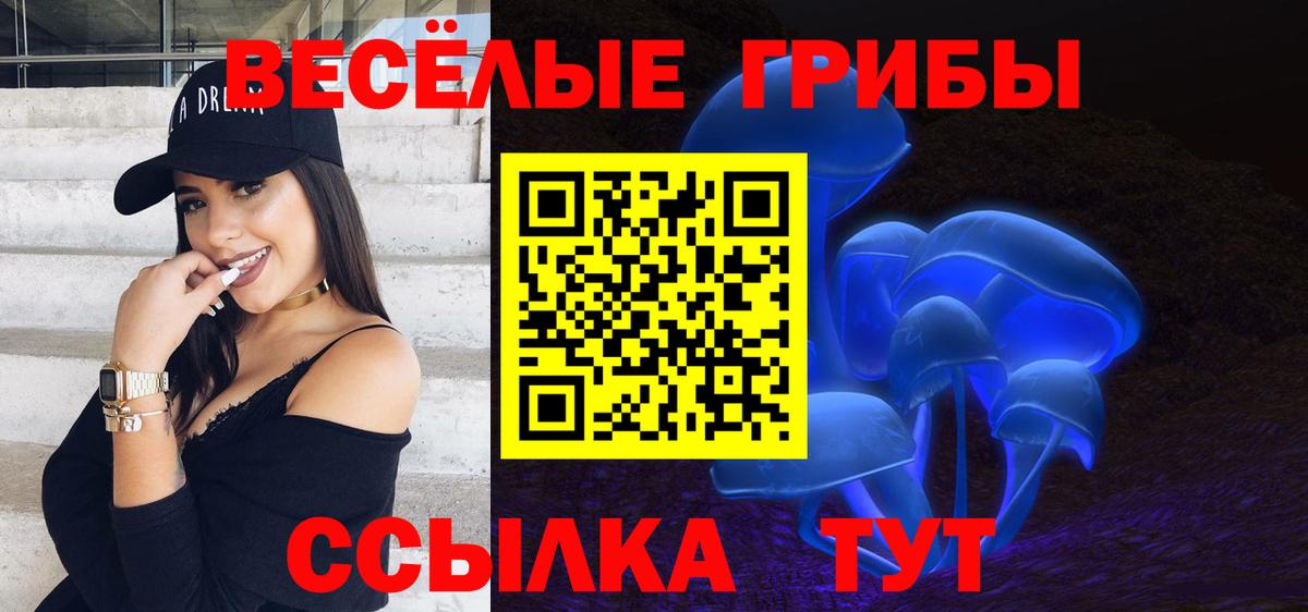 Кызыл  Галлюциногенные грибы MAGIC MUSHROOMS  Вход с VPN 