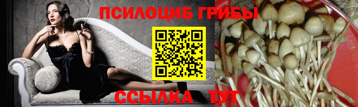 Псилоцибиновые грибы MAGIC MUSHROOMS Кызыл